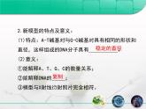 人教版 (新課標(biāo))高中生物 必修2 3-2《DNA分子的結(jié)構(gòu)》復(fù)習(xí)課件