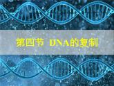 人教版 (新課標(biāo))高中生物 必修2 3-3《DNA的復(fù)制》課件