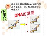 人教版 (新課標(biāo))高中生物 必修2 3-3《DNA的復(fù)制》課件
