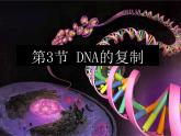 人教版 (新課標(biāo))高中生物 必修2 3-3《DNA的復(fù)制》課件