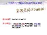 人教版 (新課標(biāo))高中生物 必修2 3-3《DNA的復(fù)制》課件