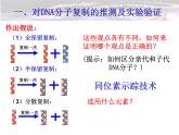人教版 (新課標(biāo))高中生物 必修2 3-3《DNA的復(fù)制》課件