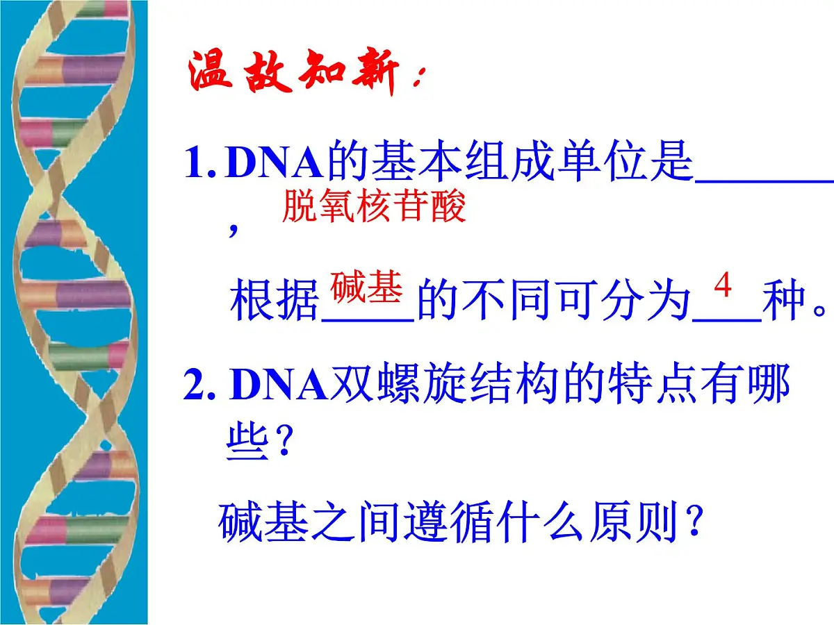 人教版 (新课标)高中生物 必修2 3-3《DNA的复制》课件第1页