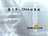 人教版 (新課標(biāo))高中生物 必修2 3-3《DNA的復(fù)制》課件