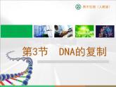 人教版 (新課標(biāo))高中生物 必修2 3-3《DNA的復(fù)制》課件