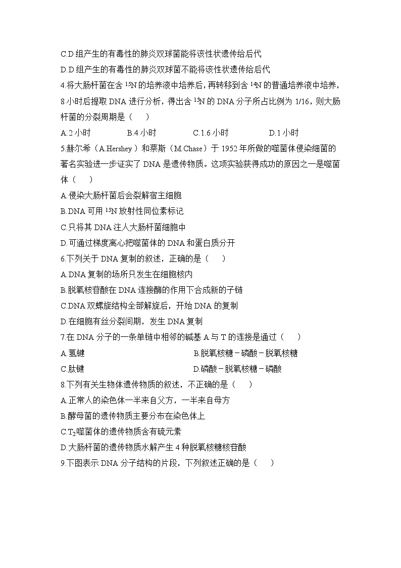 人教版 (新课标)高中生物 必修2 第三章《基因的本质》测试题（二） 无答案第2页