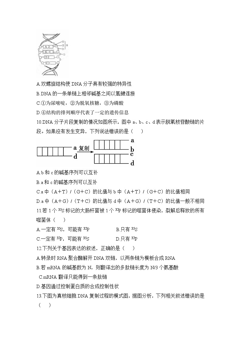 人教版 (新课标)高中生物 必修2 第三章《基因的本质》测试题（二） 无答案第3页