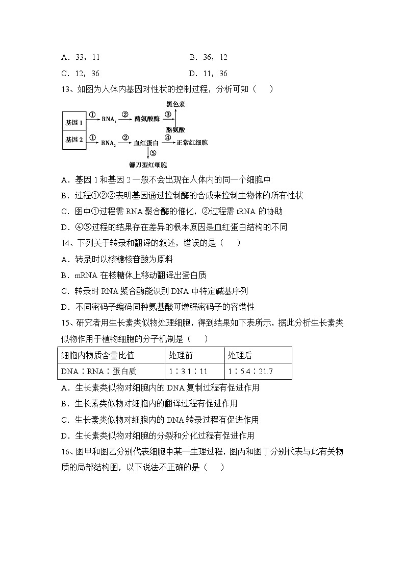 人教版 (新课标)高中生物必修2 第四章《基因的表达》考点练习 无答案第3页