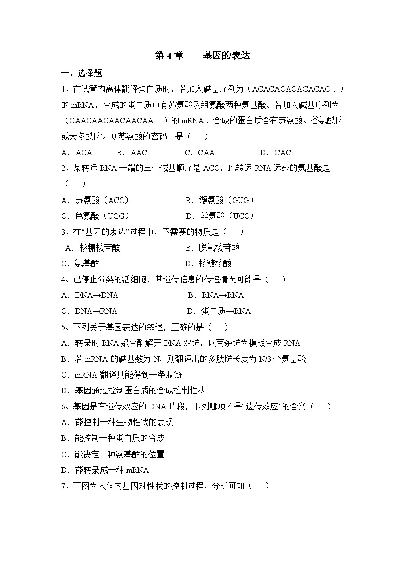 人教版 (新课标)高中生物必修2 第四章《基因的表达》综合检测（一）无答案第1页