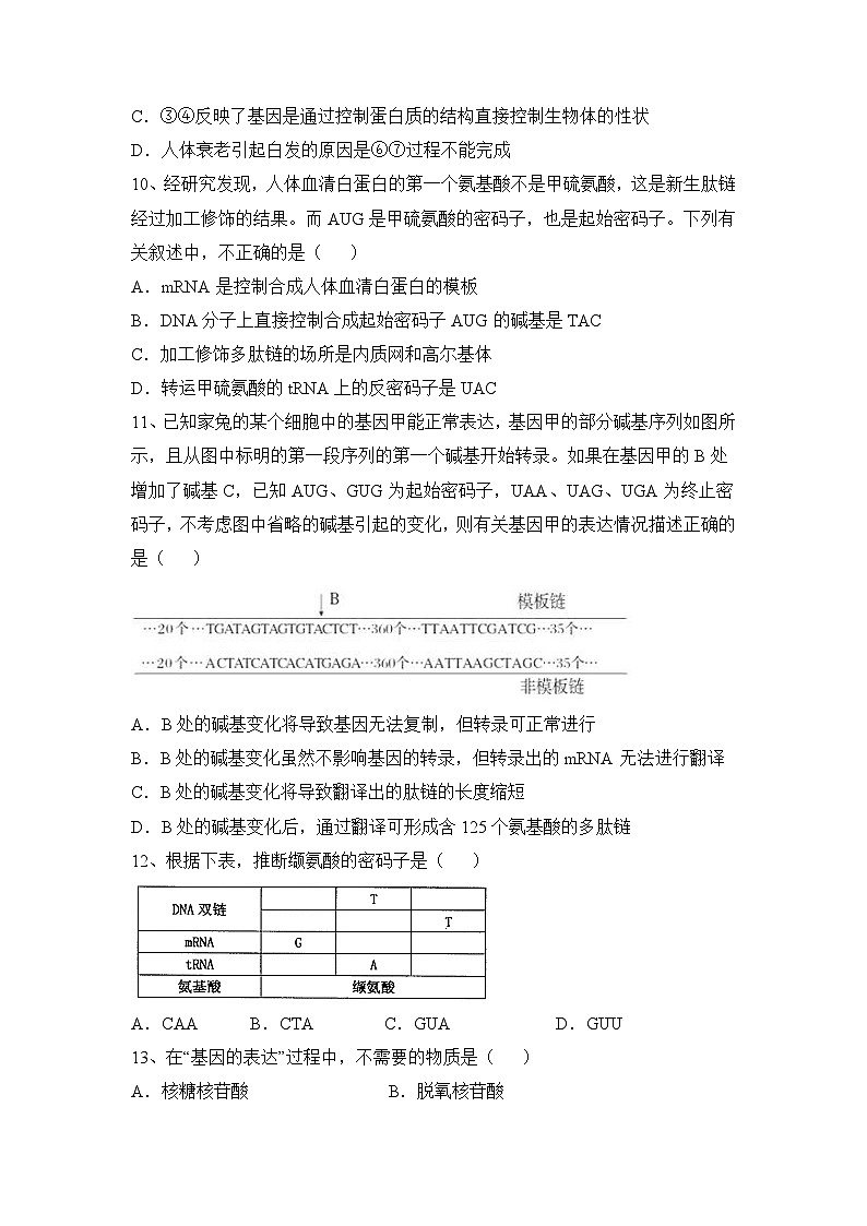 人教版 (新课标)高中生物必修2 第四章《基因的表达》综合检测（一）无答案第3页