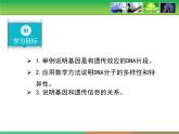 人教版 (新課標(biāo))高中生物 必修2 3-4《基因是有遺傳效應(yīng)的DNA片段》課件