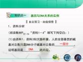 人教版 (新課標(biāo))高中生物 必修2 3-4《基因是有遺傳效應(yīng)的DNA片段》復(fù)習(xí)課件