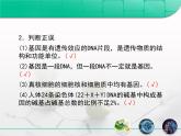 人教版 (新課標(biāo))高中生物 必修2 3-4《基因是有遺傳效應(yīng)的DNA片段》復(fù)習(xí)課件