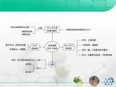 人教版 (新課標(biāo))高中生物 必修2 第三章《基因的本質(zhì)》復(fù)習(xí)課件
