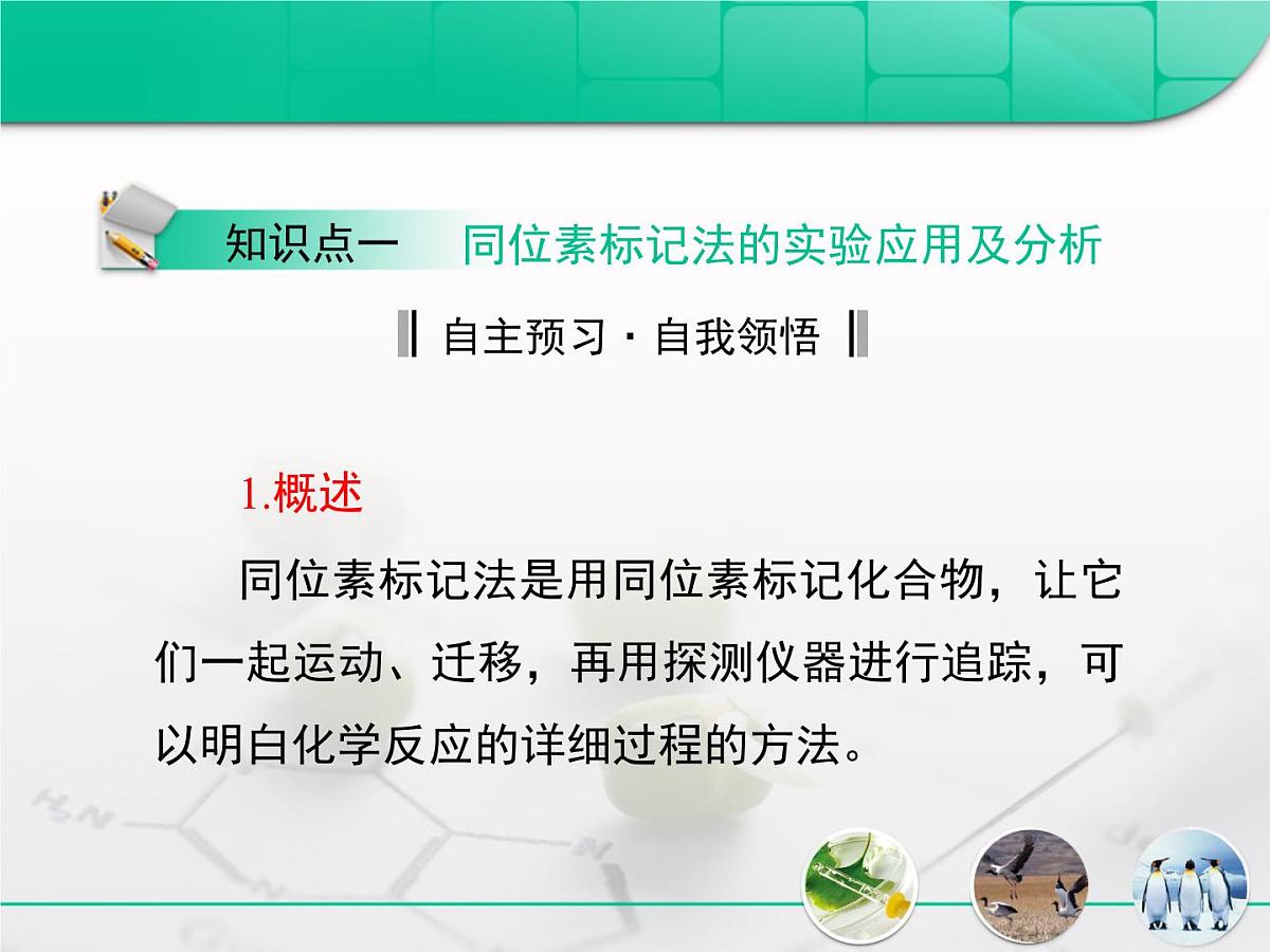 人教版 (新课标)高中生物 必修2 第三章《基因的本质》复习课件第3页