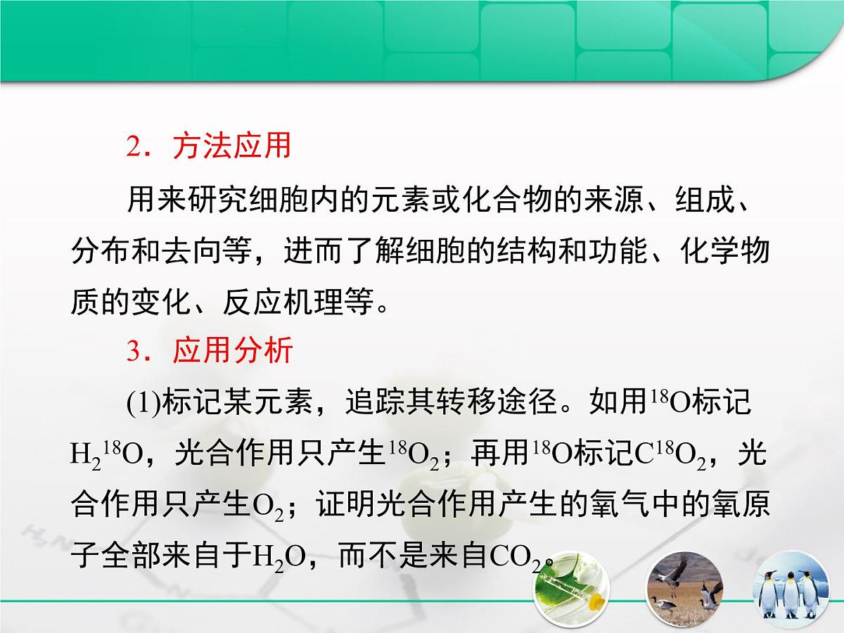 人教版 (新课标)高中生物 必修2 第三章《基因的本质》复习课件第4页