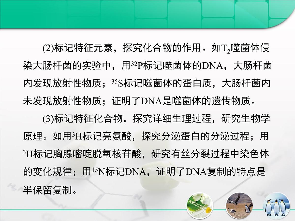 人教版 (新课标)高中生物 必修2 第三章《基因的本质》复习课件第5页