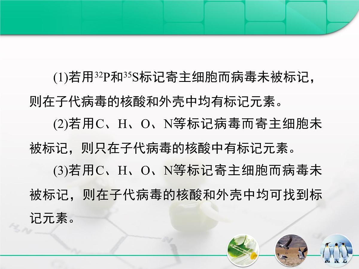 人教版 (新课标)高中生物 必修2 第三章《基因的本质》复习课件第7页