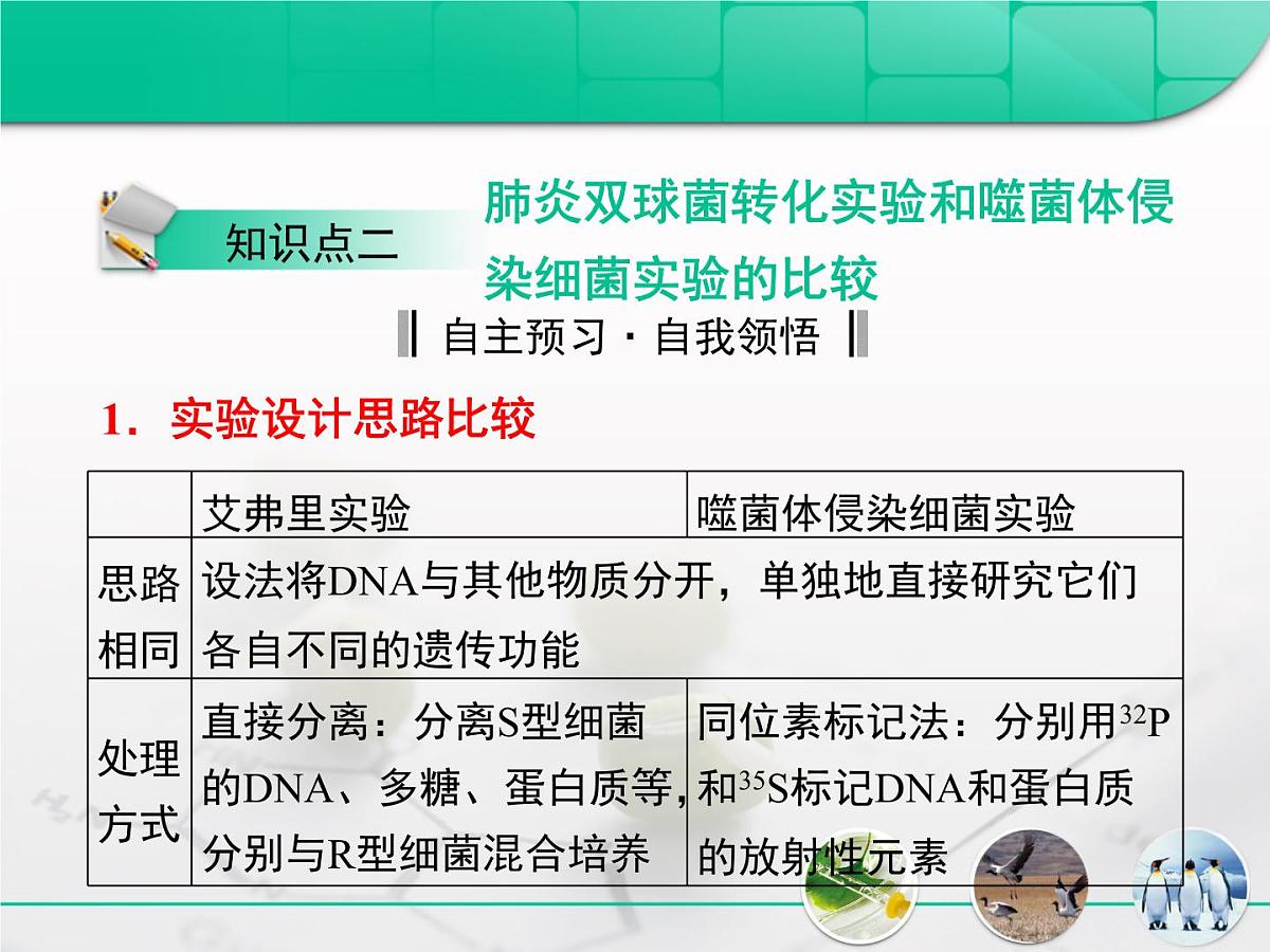 人教版 (新课标)高中生物 必修2 第三章《基因的本质》复习课件第8页