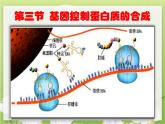 人教版 (新課標(biāo))高中生物 必修2 4-1《基因指導(dǎo)蛋白質(zhì)的合成（第1課時(shí)）》課件