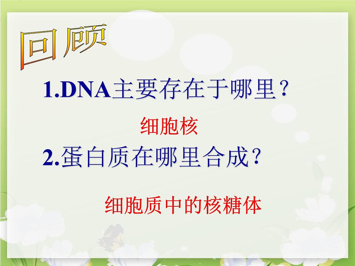 人教版 (新课标)高中生物 必修2 4-1《基因指导蛋白质的合成（第1课时）》课件第4页