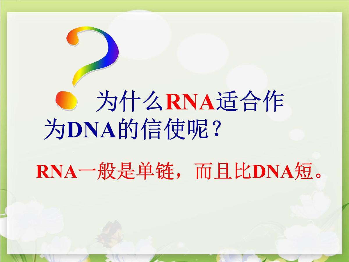 人教版 (新课标)高中生物 必修2 4-1《基因指导蛋白质的合成（第1课时）》课件第5页