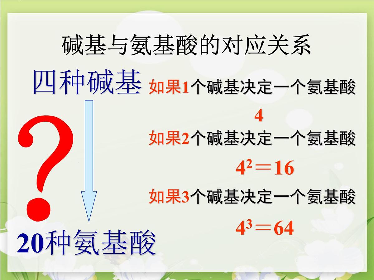 人教版 (新课标)高中生物 必修2 4-1《基因指导蛋白质的合成（第1课时）》课件第8页