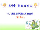 人教版 (新課標(biāo))高中生物 必修2 4-1《基因指導(dǎo)蛋白質(zhì)的合成》（第2課時(shí)）課件