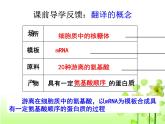 人教版 (新課標(biāo))高中生物 必修2 4-1《基因指導(dǎo)蛋白質(zhì)的合成》（第2課時(shí)）課件
