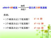 人教版 (新課標(biāo))高中生物 必修2 4-1《基因指導(dǎo)蛋白質(zhì)的合成》（第2課時(shí)）課件
