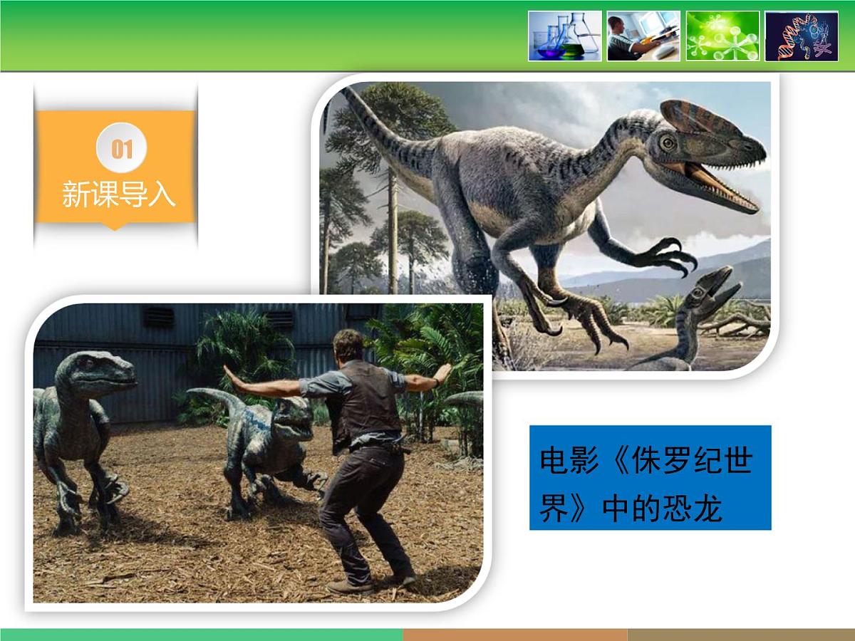 人教版 (新课标)高中生物 必修2 4-1《基因指导蛋白质的合成》名校课件第3页