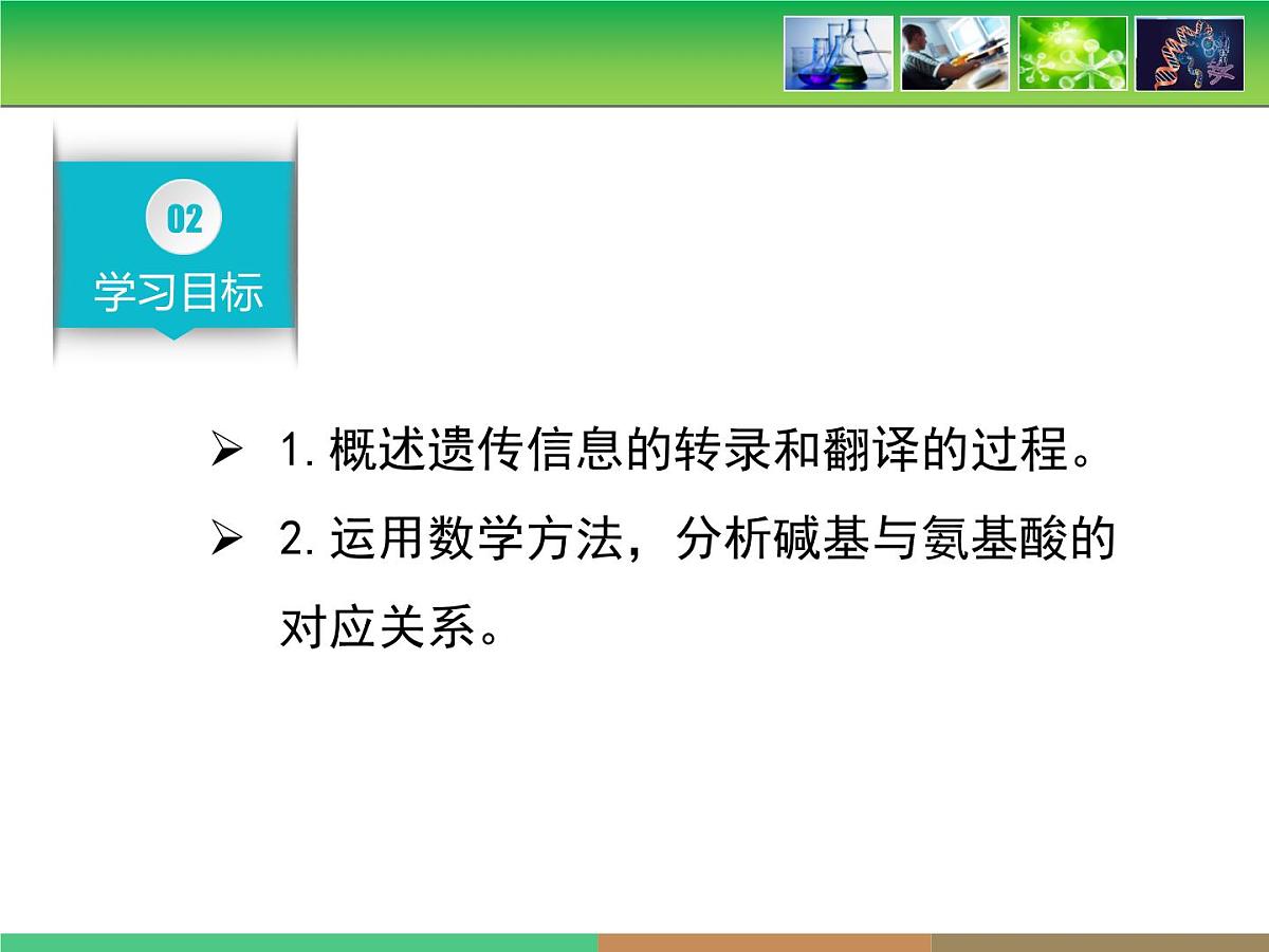 人教版 (新课标)高中生物 必修2 4-1《基因指导蛋白质的合成》名校课件第5页
