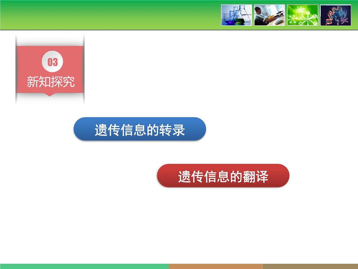 人教版 (新课标)高中生物 必修2 4-1《基因指导蛋白质的合成》名校课件第6页