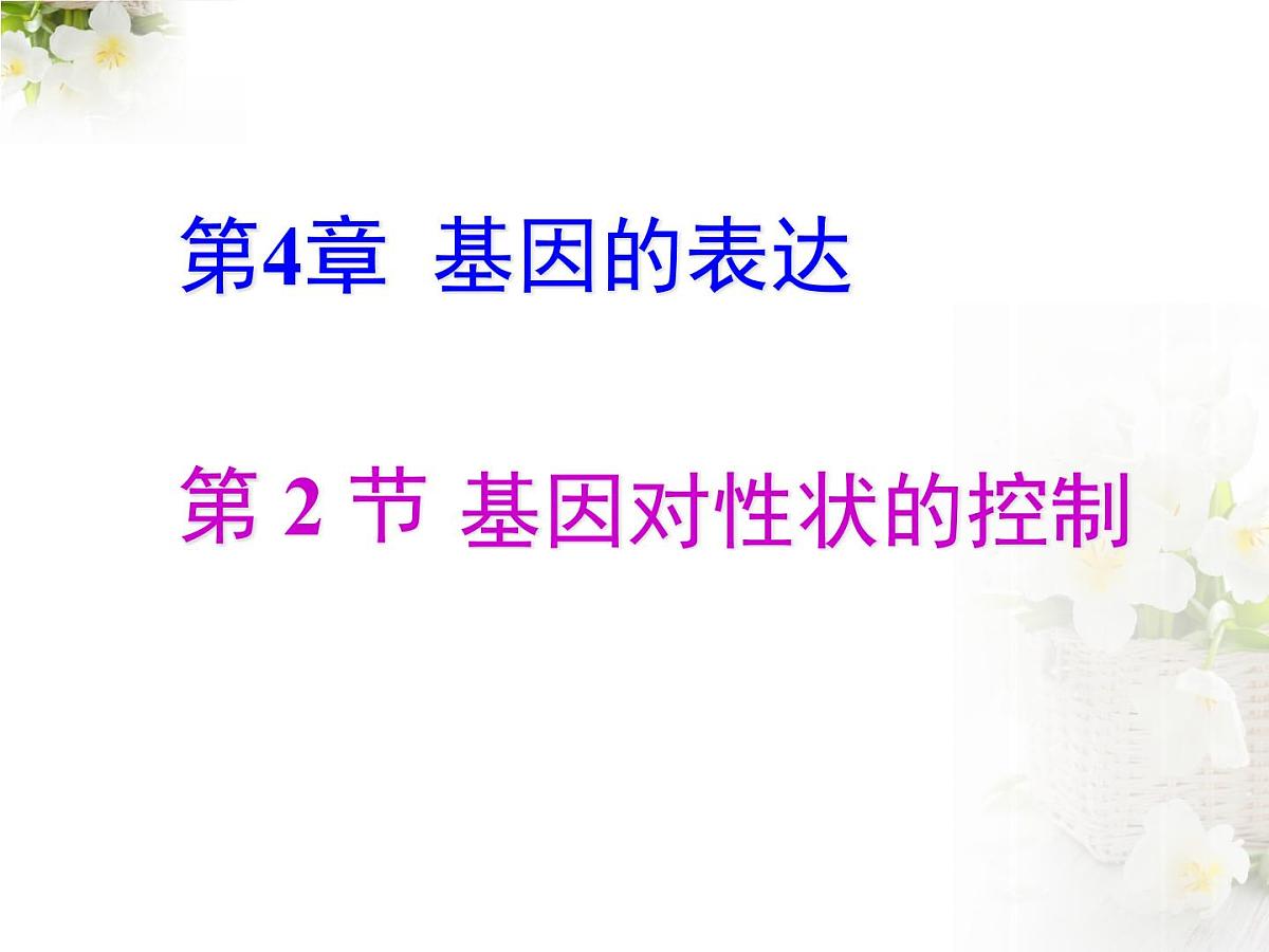 人教版 (新课标)高中生物 必修2 4-2《基因对性状的控制》课件第1页