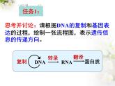人教版 (新課標(biāo))高中生物 必修2 4-2《基因?qū)π誀畹目刂啤氛n件