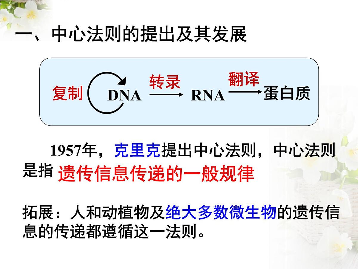 人教版 (新课标)高中生物 必修2 4-2《基因对性状的控制》课件第3页