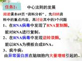 人教版 (新課標(biāo))高中生物 必修2 4-2《基因?qū)π誀畹目刂啤氛n件