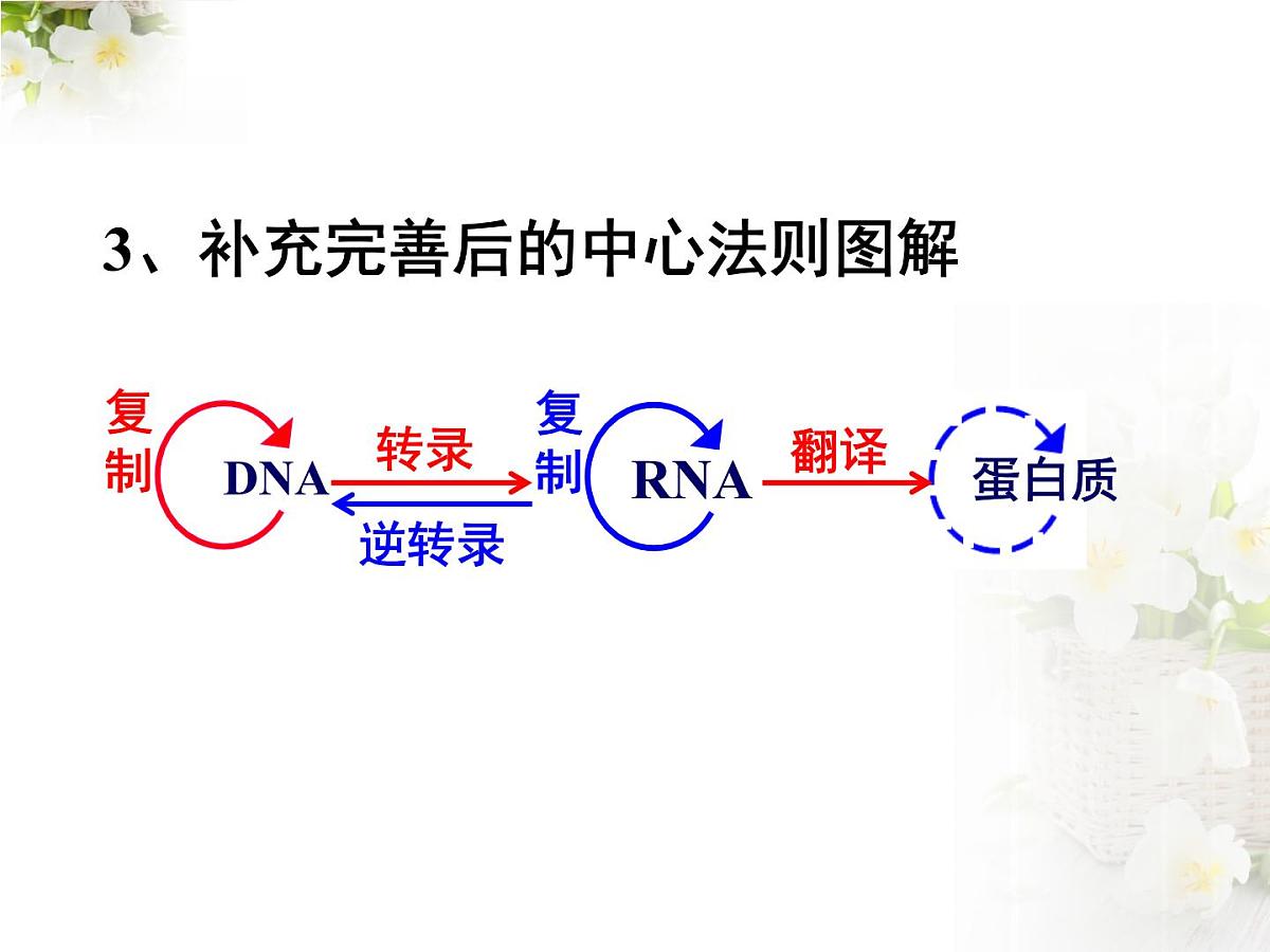 人教版 (新课标)高中生物 必修2 4-2《基因对性状的控制》课件第6页