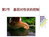 人教版 (新課標(biāo))高中生物 必修2 4-2《基因?qū)π誀畹目刂啤氛n件