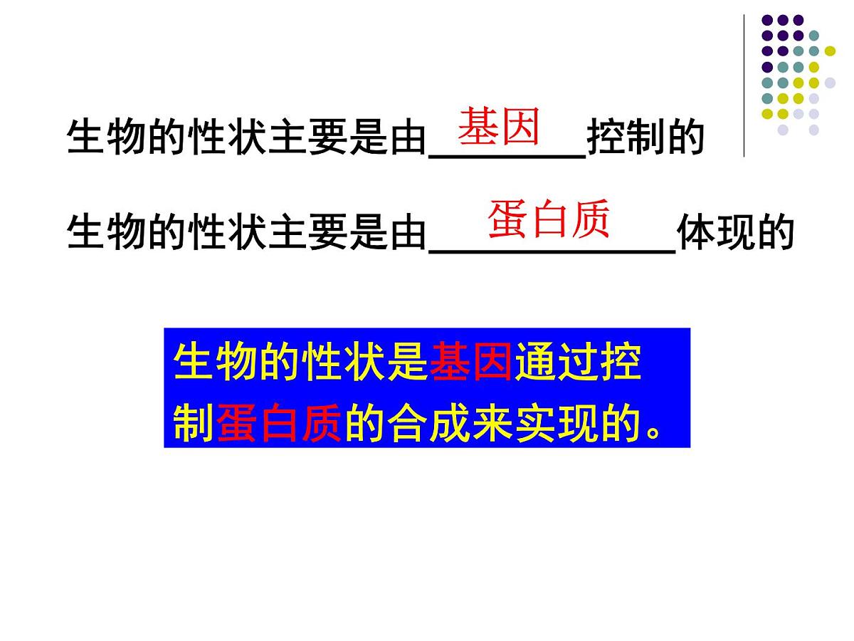 人教版 (新课标)高中生物 必修2 4-2《基因对性状的控制》课件第3页