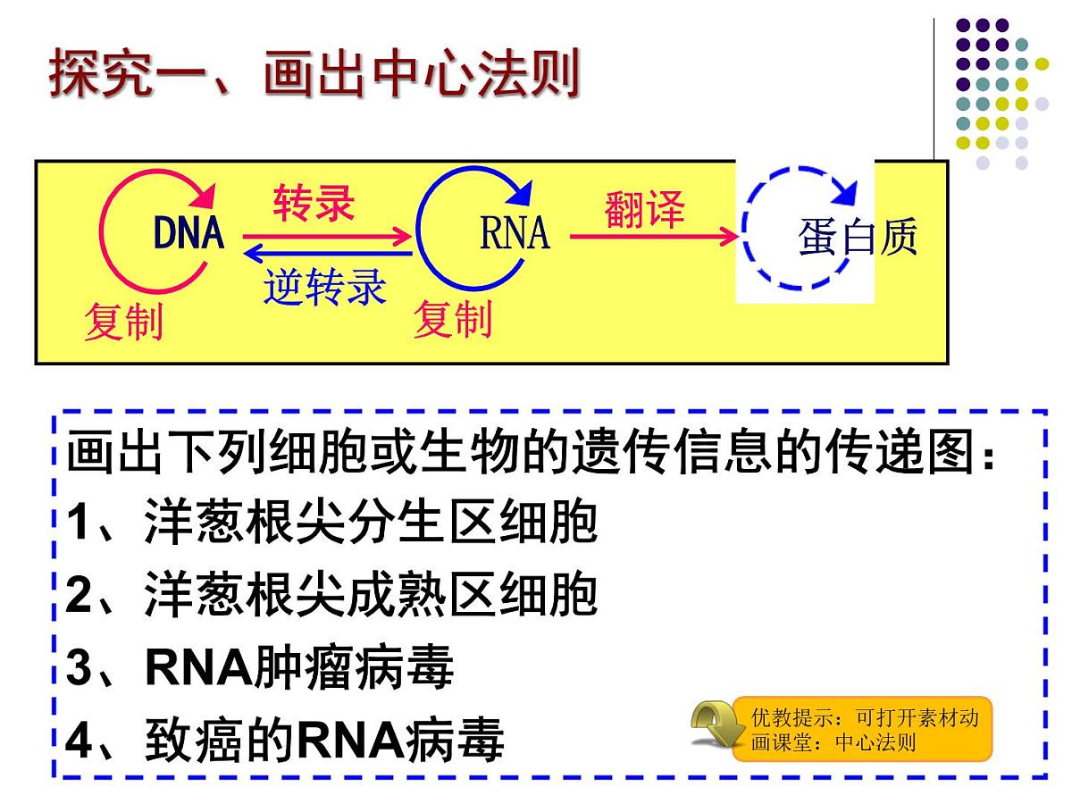 人教版 (新课标)高中生物 必修2 4-2《基因对性状的控制》课件第4页
