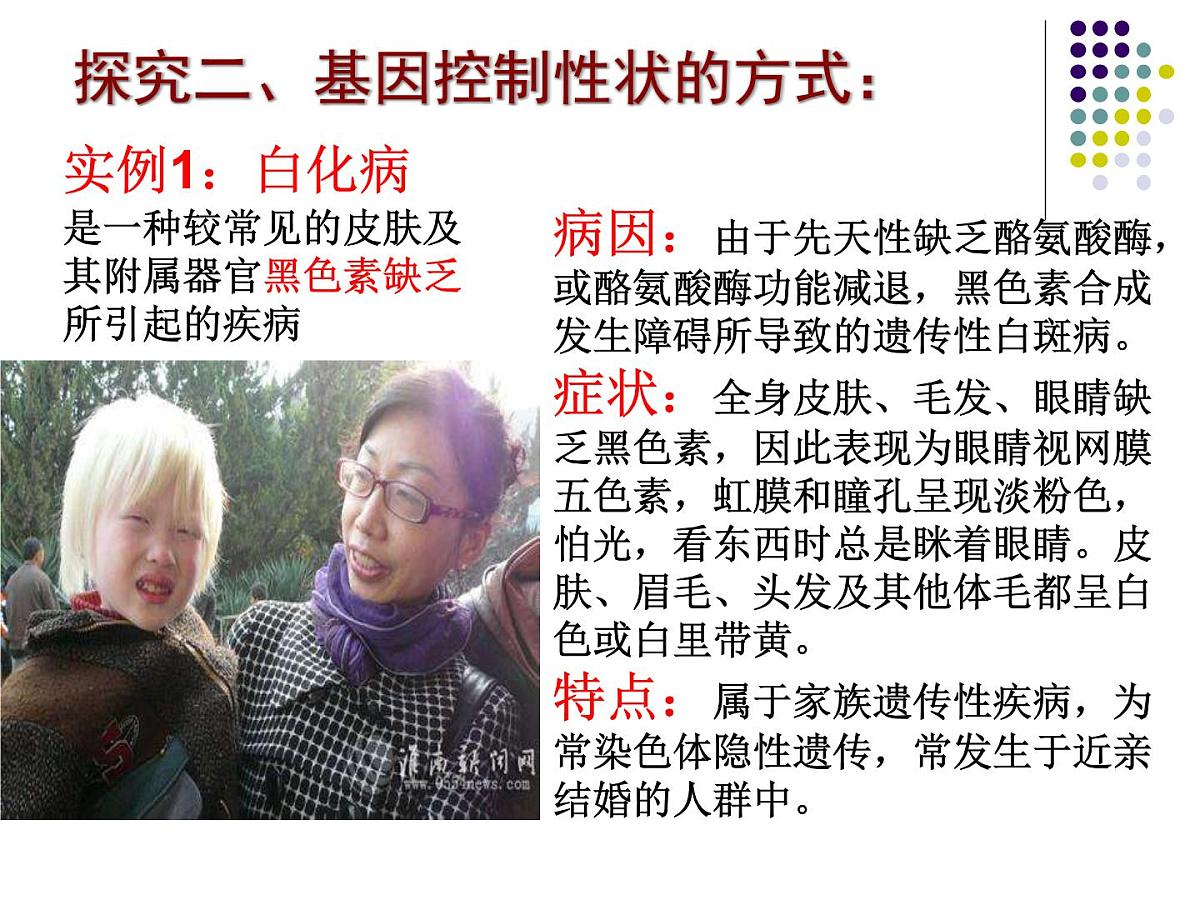 人教版 (新课标)高中生物 必修2 4-2《基因对性状的控制》课件第5页