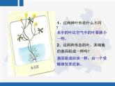 人教版 (新課標)高中生物 必修2 4-2《基因對性狀的控制》復習課件