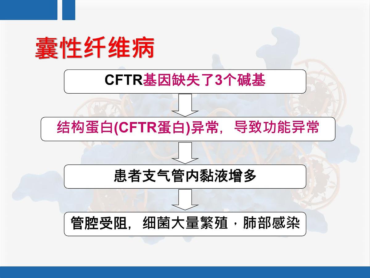 人教版 (新课标)高中生物 必修2 4-2《基因对性状的控制》复习课件第8页