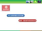 人教版 (新課標(biāo))高中生物 必修2 4-2《基因?qū)π誀畹目刂啤氛n件