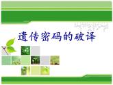 人教版 (新課標(biāo))高中生物 必修2 4-3《遺傳密碼的破譯（選學(xué)）》課件