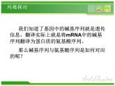 人教版 (新課標(biāo))高中生物 必修2 4-3《遺傳密碼的破譯（選學(xué)）》課件
