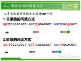 人教版 (新課標(biāo))高中生物 必修2 4-3《遺傳密碼的破譯（選學(xué)）》課件
