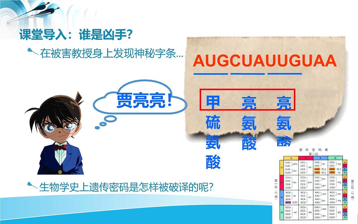 人教版 (新课标)高中生物必修2 4-3《遗传密码的破译（选学）》课件第3页