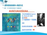 人教版 (新課標(biāo))高中生物必修2 4-3《遺傳密碼的破譯（選學(xué)）》課件